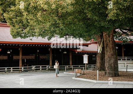 DEC 5, 2018 Tokyo, Japan - Meiji Jingu-Schrein historischen alten heiligen Baum mit Shimenawa Seil und asiatische Touristen beten für Glück - Wichtigste s Stockfoto