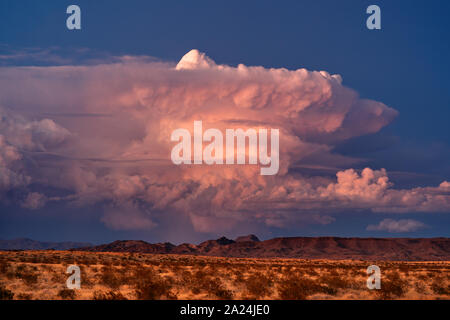 Eine supercell Gewitter Cumulonimbus Wolke fängt buntes, Sonnenuntergangslicht in der Wüste in der Nähe von Lake Havasu City, Arizona Stockfoto
