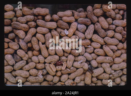 Erdnüsse Boardwalk, in Seaside Heights, New Jersey Stockfoto
