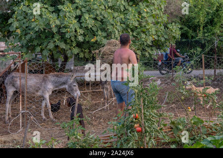 Views um von der Null Abfall Bauernhof in Dalyan, Türkei Stockfoto