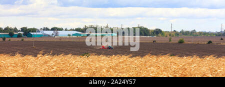 Panorama von Ackerland, den Traktor pflegt das Land im Herbst in der Morgen. Stockfoto