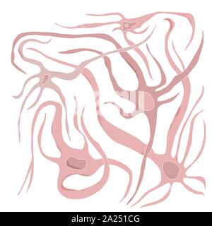 Neuron Zellen mit langen Axone. Vektor illustartion. Stock Vektor