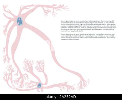Neuron Zellen mit langen Axone. Vektor illustartion. Stock Vektor