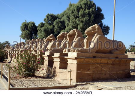 Ram unter der Leitung Statuen an der Karnak Tempel in Luxor, Ägypten. Mit dem Bau des Komplexes wurde während der Regierungszeit von Senusret ich im Reich der Mitte und setzte sich bis in die ptolemäische Zeit, obwohl die meisten der erhaltenen Gebäude aus der neue König Datum Stockfoto