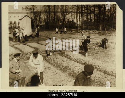 Foto des verstorbenen Zaren und seiner Familie im Garten arbeiten Stockfoto