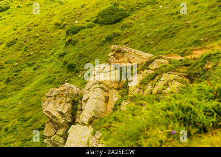 Climbing Mount Howerla in den Karpaten, in der Ukraine. Natürliche Hintergrund. Die geschützte Natur Konzept Stockfoto