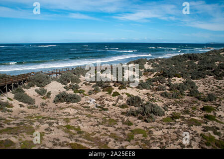 Kangaroo Island, Australien, Panorama der Seal Bay mit Promenade und der buckelwal Skelett in Sand dune Stockfoto