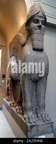 Winged menschlichen vorangegangen Lion statue bewachen den Eingang des Nord-west-Palast von Nimrud. 865-860 v. Chr., Assyrische, Irak Stockfoto