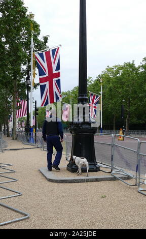 Die Mall auf dem Weg zum Buckingham Palace, London, von der Polizei mit Sniffer Hund gesichert, die während des Staatsbesuchs von Präsident Donald Trump, Juni 2019 Stockfoto