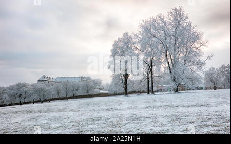 Winter Baum mit Burg Cerveny Kamen, Slowakei Stockfoto