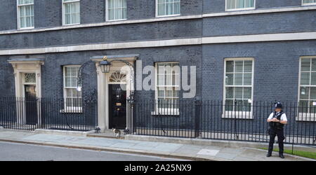 Larry der Downing Street 10 Katze und Chief mouser des Cabinet Office. An der Tür Nummer 10 Downing Street Büro und Wohnsitz des britischen Premierministers Stockfoto