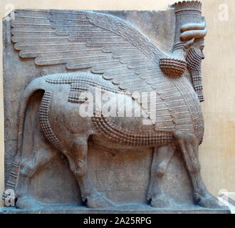 Menschliche - vorangegangen geflügelten Stier aus dem Palast Sargons II. in Dur-Sharrukin, moderne Khorsabad. In der Kunst, Lamassu wurden mit den Körpern der beiden geflügelten Stiere oder Löwen und Leiter der menschliche Männer dargestellt. Dur-Sharrukin (Festung von Sargon?), heutigen Khorsabad, war der assyrischen Hauptstadt in der Zeit von Sargon II. von Assyrien. Khorsabad ist ein Dorf im Norden des Irak, nordöstlich von Mossul. Die große Stadt war ganz in der Dekade vor 706 v. Chr. erbaut Stockfoto