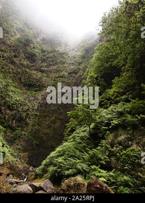 Wasserfall in der Mitte der Lorbeerwälder auf Madeira, Portugal Stockfoto