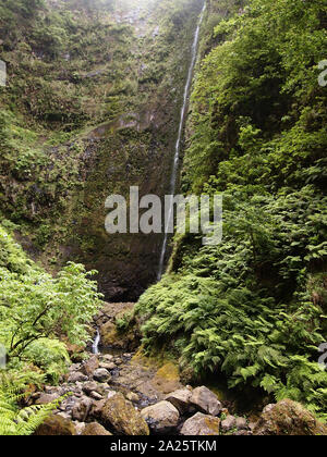 Wasserfall in der Mitte der Lorbeerwälder auf Madeira, Portugal Stockfoto