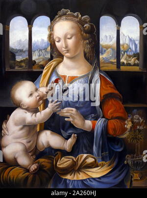 Die Madonna mit der Nelke, Öl Gemälde von Leonardo da Vinci erstellt um 1478-1480. Die zentrale und zentriert Motiv ist die Jungfrau Maria mit dem Jesuskind auf ihrem Schoß sitzt. In kostbare Kleidung und Schmuck dargestellt, mit der linken Hand Maria hält die Nelke (als heilende Symbol interpretiert). Leonardo da Vinci (1452-1519), italienischer Künstler und Universalgelehrten Stockfoto