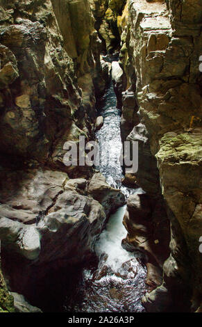 Hölzerne Brücke in der natürlichen Reserve von Morigerati, Kampanien, Italien Stockfoto