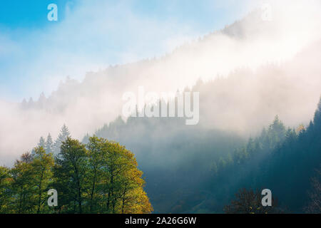 Wunderbare herbst Wetter in den Bergen. fernen bewaldeten Hügel im dichten Nebel. sonniger Morgen in Karpaten. schöne Natur Hintergrund Stockfoto