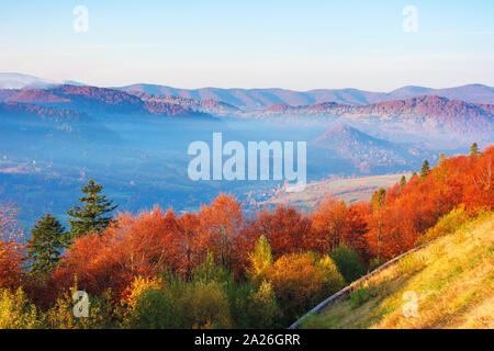 Schönen Morgen Landschaft in den Bergen. Licht durch steigende Nebel in der fernen Tal. Wunderbares Herbstwetter. Bäume in der Nähe von Hang in Co Stockfoto