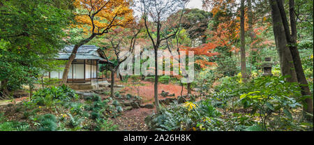 Panorama von der Tokyo Metropolitan Park KyuFurukawa japanischer Garten Tee Haus im Wald von Ahorn und Pinien im Herbst. Stockfoto