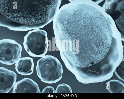 Bereich der Fettzellen, hochwertige 3D-Render von Zellen, Zellen, die Struktur des Moleküls, Zelle Struktur, die Teilung von menschlichen Zellen Stockfoto