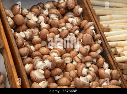 Close up unreifen Braune essbare Pilze Champignon (Agaricus bisporus) im Holzkasten im Einzelhandel, Display, hohe Betrachtungswinkel Stockfoto