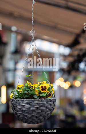 Topf mit bunten Stiefmütterchen Blumen hängen in der Außenseite der Street Cafe Stockfoto