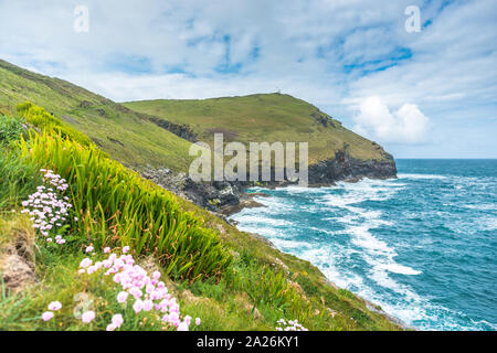 South West Coast Path von Boscastle in Richtung Willapark Lookout in der Ferne, North Cornwall, England, Großbritannien. Stockfoto