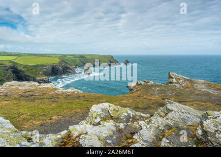 Blick auf die Küste von Willapark Lookout in der Nähe von Boscastle auf der atlantischen Küste von Cornwall, England, Großbritannien. Stockfoto