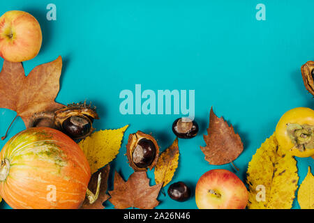 Rahmen der trockene Blätter, Kastanien, Kürbisse und Äpfel. Stockfoto