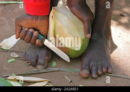 Afrikanischer mann Peeling eine Kokosnuss mit einem Messer, Spice Farm, Sansibar, Unguja Insel, Tansania. Stockfoto