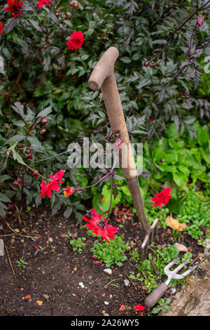 Gardening Tools, einschließlich einer Gabel und Kelle Stockfoto