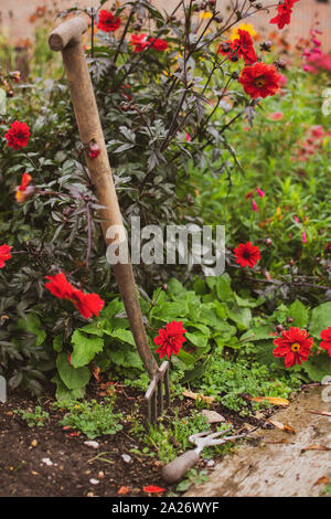 Gardening Tools, einschließlich einer Gabel und Kelle Stockfoto