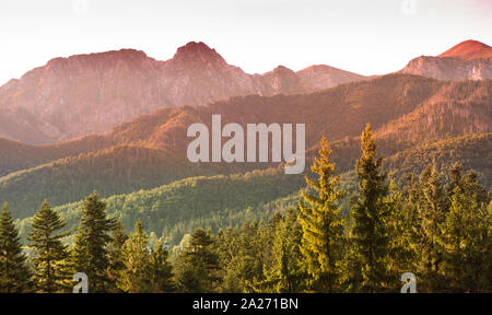 Giewont und Tatra Panorama - Herbst Sonnenaufgang über felsigen Gipfeln und Pine Forest Hills Stockfoto