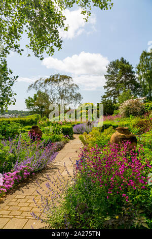 Die Betten der Rose Garten sind mit einer bunten Vielfalt von Stauden und Sträucher im Fuchsbau Bauerngärten, in der Nähe von Vina del Mar, Devon, England, UK gefüllt Stockfoto