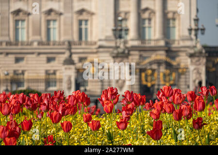 Tele geschossen von Blumen vor dem Buckingham Palace, London. Die Basis des Victoria Memorial und Palace sind in den Hintergrund defokussierten Stockfoto