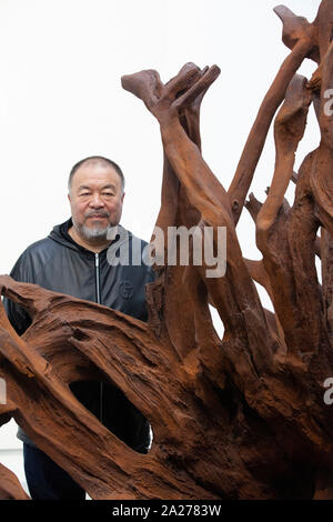 Regimekritische chinesische Künstler Ai Weiwei nahmen an der Eröffnung seiner neuen Ausstellung "Wurzeln" an der Lisson Gallery. Auf dem Display sind Skulpturen in Eisen vom Baum Wurzeln der gefährdeten Pequi Vinagreiro Baum aus Bahia, Brasilien sowie Drachen - Wie arbeitet in Bambus und Seide und großen pixelige Bilder in Lego gerendert. Stockfoto