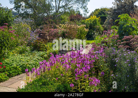 Die Betten der Rose Garten sind mit einer bunten Vielfalt von Stauden und Sträucher im Fuchsbau Bauerngärten, in der Nähe von Vina del Mar, Devon, England, UK gefüllt Stockfoto