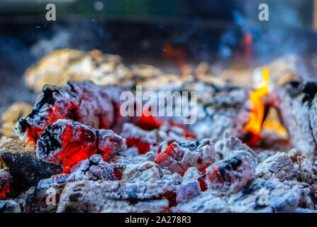 Brennende, glühende Holz in den Tag Stockfoto