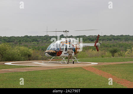 Spiel ranger Wandern in geparkten Shearwater Adventures Z-SCA Bell 206 L3 LongRanger Hubschrauber, Victoria Falls, Simbabwe. Stockfoto