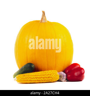 Kürbis und Gemüse zum Kochen. Auf weissem Hintergrund. Thanksgiving Day Konzept. Stockfoto