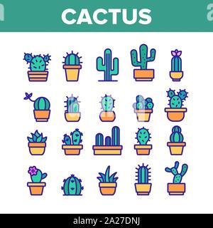 Cactus Domestic Plant Farbe Icons Set Vektor Stock Vektor