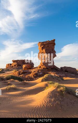 Abendlicht in der Sahara in der Nähe von Timimoun, Algerien Stockfoto