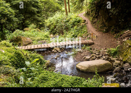 Kleine Holzbrücke über den Fluss, von einem Wasserfall angelegt, von Wald in den Bergen umgeben. Da Terra Faial, Sao Miguel, Azoren, Portuga Stockfoto