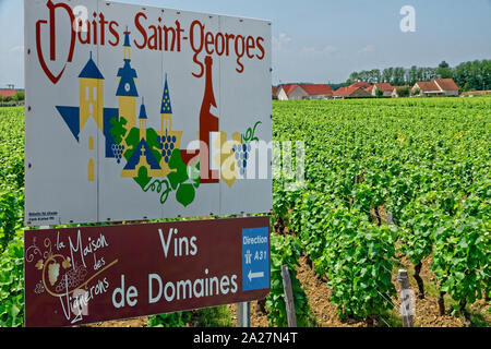 Unterschreiben Sie bei Wein Dorf von Nuits Saint-Georges in der Region Burgund, Bourgogne Franche-Compté, Frankreich. Stockfoto