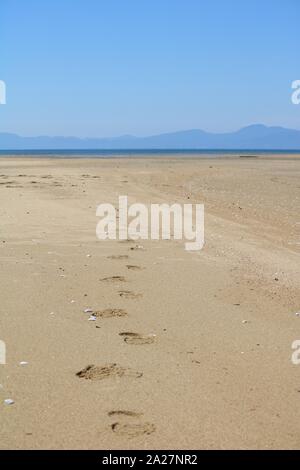 Spuren im Sand, Abel Tasman National Park, Neuseeland Stockfoto