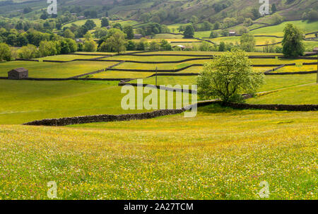 Muker wilde Blumenwiesen in Swaledale Stockfoto