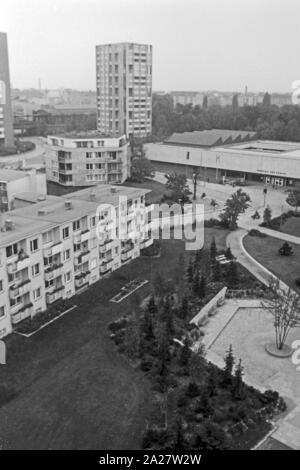 Blick in die Punkthäuser im Südlichen Hansaviertel in Berlin, Deutschland 1962. Blick auf die "Punkthaeuser 'Hochhäusern an der südlichen Hansaviertel Quartier in Berlin, Deutschland 1962. Stockfoto