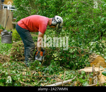 Ein Baum Chirurg oder Baumzüchter tragen Sicherheitsausrüstung verwendet eine Kettensäge bis zu einem gefällten Baum geschnitten. Stockfoto