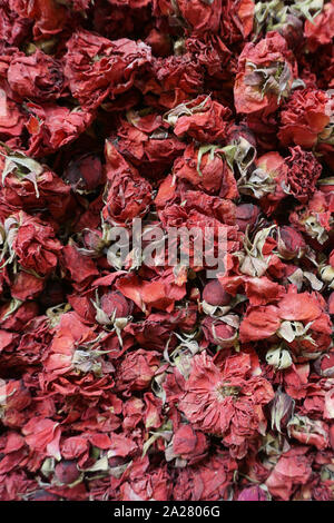 Blumen Tee der roten Rosenknospen Stockfoto