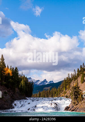 Bug fällt in Banff, Alberta, Kanada unter Hell, sonnig, blauer Himmel mit weißen Wolken fallen Stockfoto